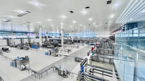 世界奶業大會開幕，伊利以全球協作助推‘世界乳業科技之都’建設